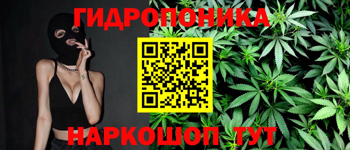 Канабис OG Kush  Бошки марихуана планчик  Бошки Шишки план  Вход с VPN  Челябинск 